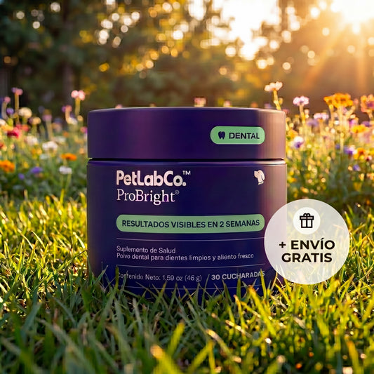 Conozca el galardonado ProBright® Advanced