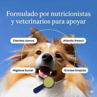Conozca el galardonado ProBright® Advanced