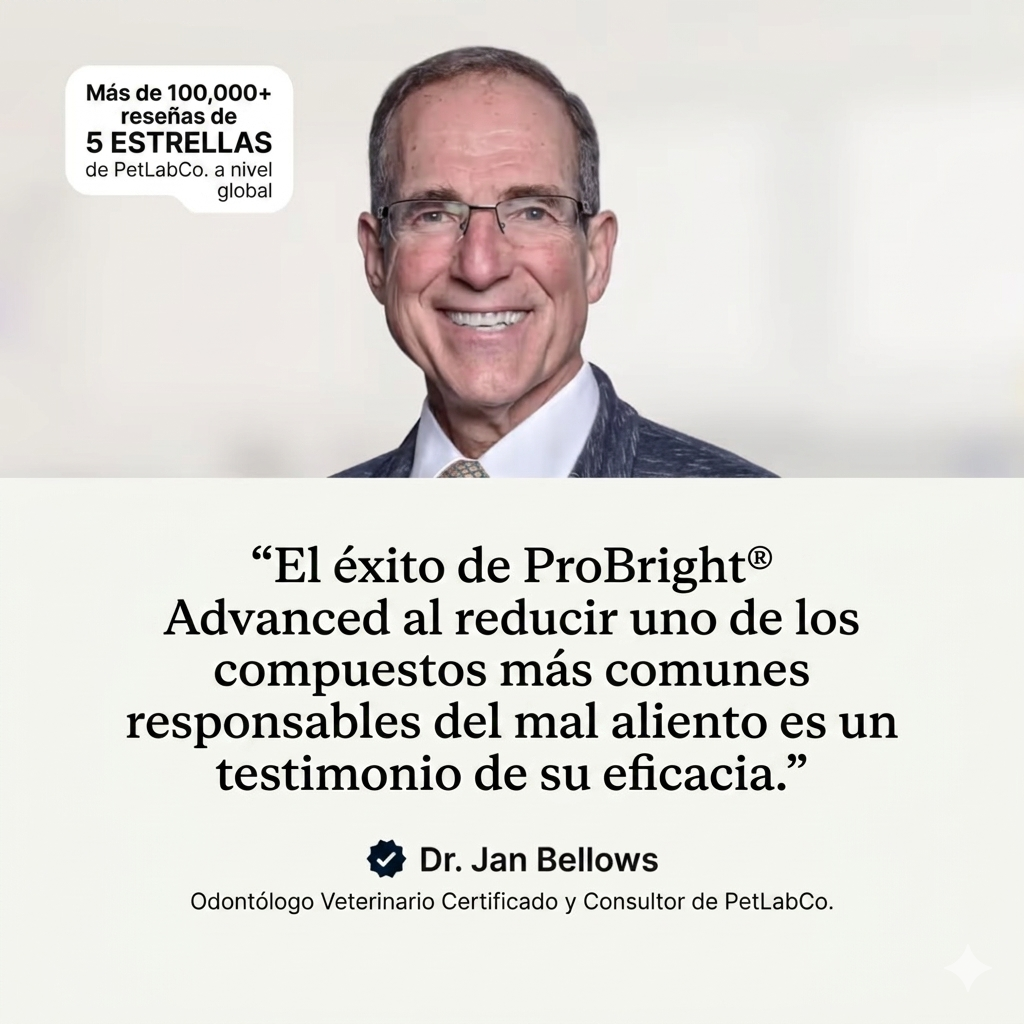 Conozca el galardonado ProBright® Advanced